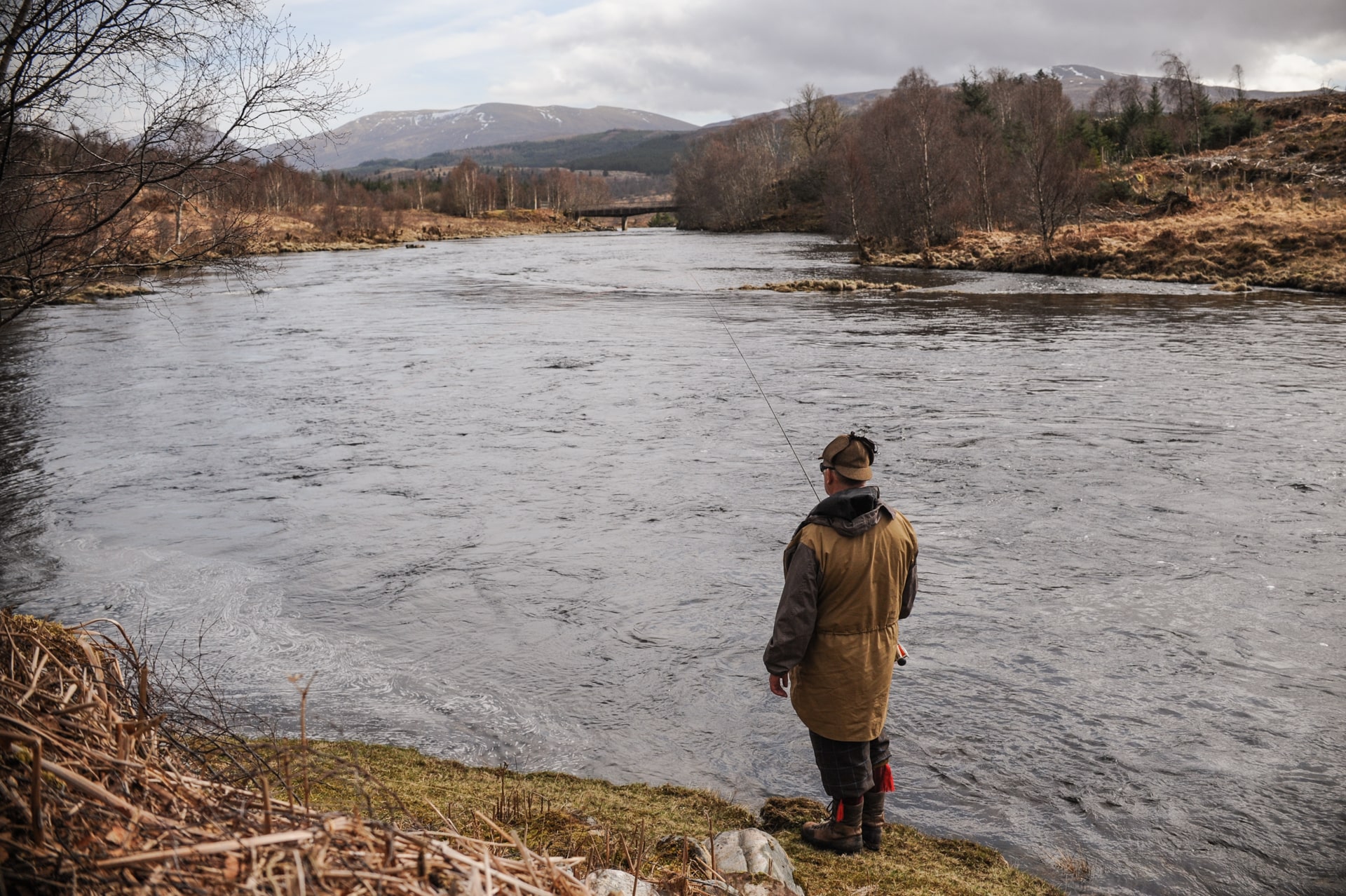 12190_2024_-5087-min