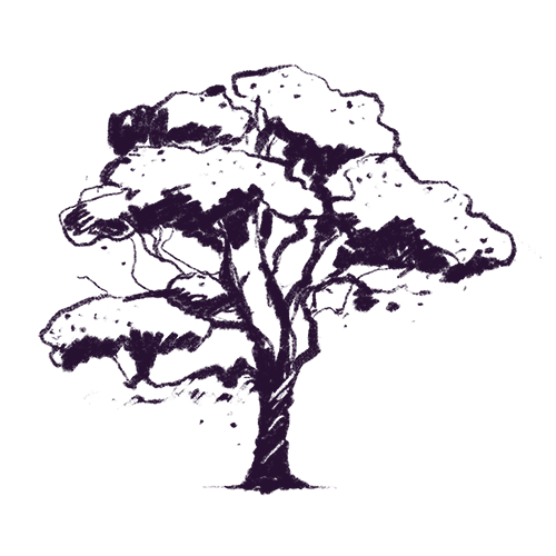 12190_tomdoun_illu_tree 2 copy