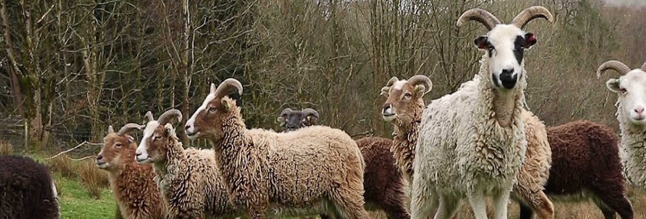 portcollect_17-5781_246v2-1-1024x507 5-min