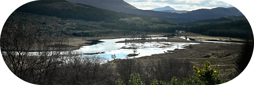 DSC_1505_kingie_pool 1-min