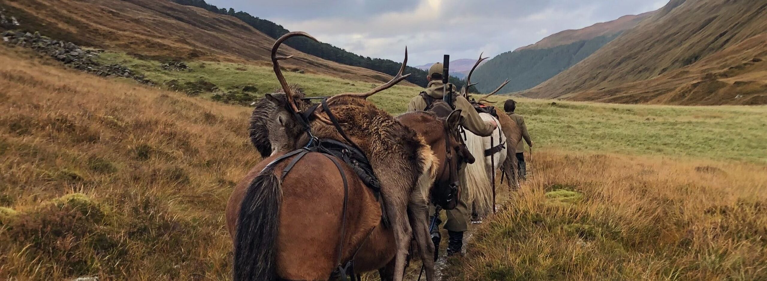 image_stalking 1-min